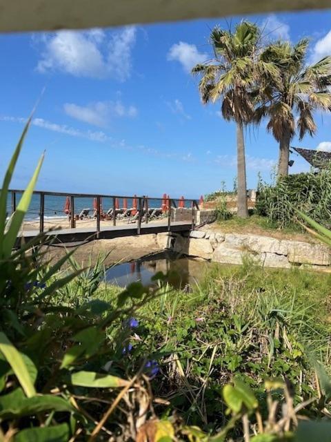 Holiday home Casabel Playa Alicate *